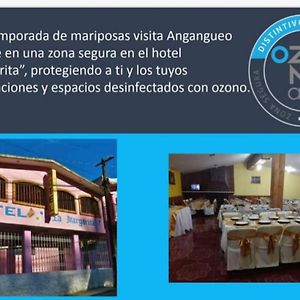 Hotel La Margarita